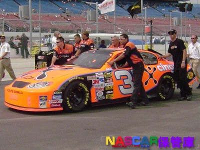 #31 cingular Chevrolet Monte Carlo