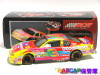 2000 #3 GM Goodwrench Survice Plus / Peter Max Chevrolet Monte Carlo